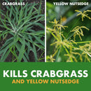 Weed Stop for Lawns plus Crabgrass Killer, Ready to Use, Kills Weeds, Not the Lawn, 32 Fl Ounce