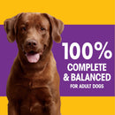 with Tender Bites Complete Nutrition Adult Dry Dog Food Chicken & Steak Flavor Dog Kibble, 14 Lb. Bag