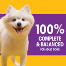 with Tender Bites Small Dog Complete Nutrition Small Breed Adult Dry Dog Food, Chicken & Steak Flavor Dog Kibble, 3.5 Lb. Bag