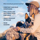 Clinical Care Ear Therapy, 4 Oz. – Cat and Dog Ear Cleaner to Help Soothe Itchiness and Cleans the Ear Canal from Debris and Buildup That May Cause Infection