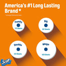 Comfortplus Toilet Paper, 12 Double Rolls, 231 Sheets per Roll, Septic-Safe, 1-Ply Toilet Tissue
