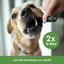 Brushless Toothpaste, Dog Dental Chews for Large Breeds, Freshens Breath, Helps Reduce Plaque & Tartar, 18Oz, 1 Pack