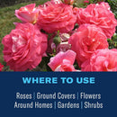 Rose and Flower Insect Killer, Ready-To-Use, 24 Oz