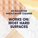 Everyday Clean Multi Surface Cleaner Spray, Ph Balanced to Clean 101 Surfaces, Rainshower Scent, 9.7 Oz (Pack of 1)