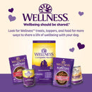 Wellness Wholesome Indulgences Peanut Butter & Banana Flavor Natural Dog Treats, 10 Ounce Bag