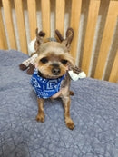 Elevate Your Pet's Style with our Puppy Cat Dog Collar Bandana Collar Scarf