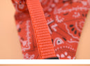 Elevate Your Pet's Style with our Puppy Cat Dog Collar Bandana Collar Scarf