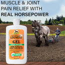 Veterinary Liniment Topical Analgesic Sore Muscle and Arthritis Pain Relief Warming Liniment Rub, 12 Ounce Gel