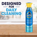 Everyday Clean Multi Surface Cleaner Spray, Ph Balanced to Clean 101 Surfaces, Rainshower Scent, 9.7 Oz (Pack of 1)