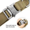 Ultimate Military-Inspired Dog Collar and Leash Combo for Training and Walks