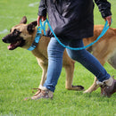 Ultimate Military-Inspired Dog Collar and Leash Combo for Training and Walks