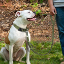 Ultimate Military-Inspired Dog Collar and Leash Combo for Training and Walks