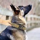 Ultimate Military-Inspired Dog Collar and Leash Combo for Training and Walks