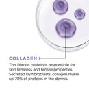 L’Oréal Paris Collagen Daily Face Moisturizer, Reduce Wrinkles, Face Cream 1.7 Oz