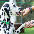 Brushless Toothpaste, Dog Dental Chews for Large Breeds, Freshens Breath, Helps Reduce Plaque & Tartar, 18Oz, 1 Pack