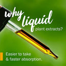 Certified Organic Lemon Balm Liquid Extract for Calming Nervous System Support, Organic Cane Alcohol, 1 Ounce