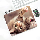 Level Up Your Desk Aesthetics with a Cute Cat Pad Mouse Mat and Desk Protector