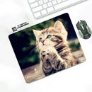 Level Up Your Desk Aesthetics with a Cute Cat Pad Mouse Mat and Desk Protector