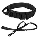 Ultimate Military-Inspired Dog Collar and Leash Combo for Training and Walks