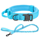 Ultimate Military-Inspired Dog Collar and Leash Combo for Training and Walks
