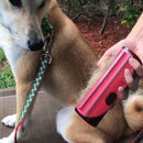 Pet Hair Comb Dog Cat Lint Roller Puppy Cleaning Brush Cats Hair Cleaner Brushes